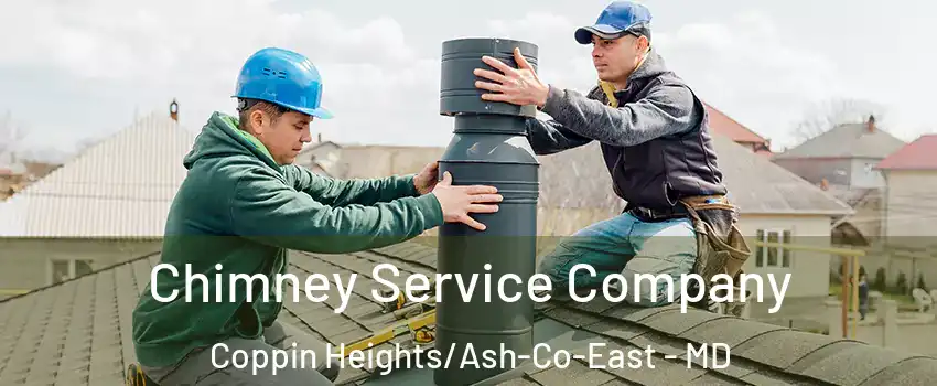 Chimney Service Company Coppin Heights/Ash-Co-East - MD