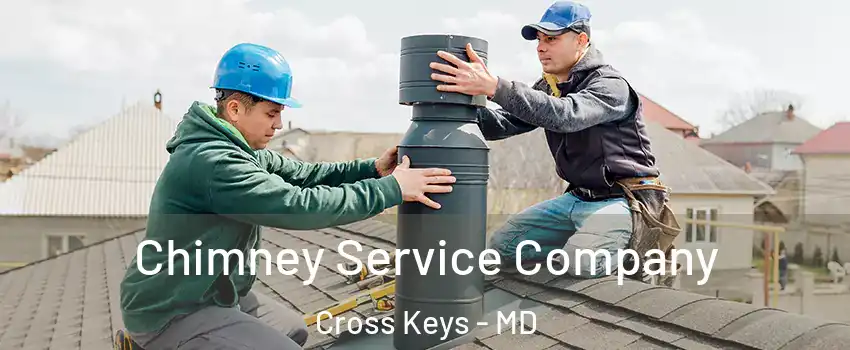 Chimney Service Company Cross Keys - MD