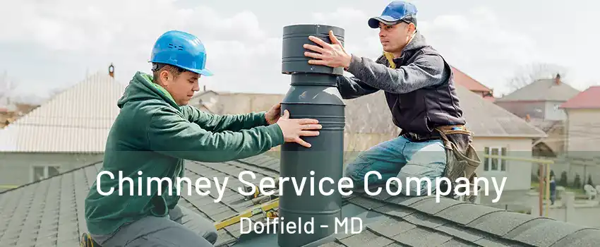 Chimney Service Company Dolfield - MD