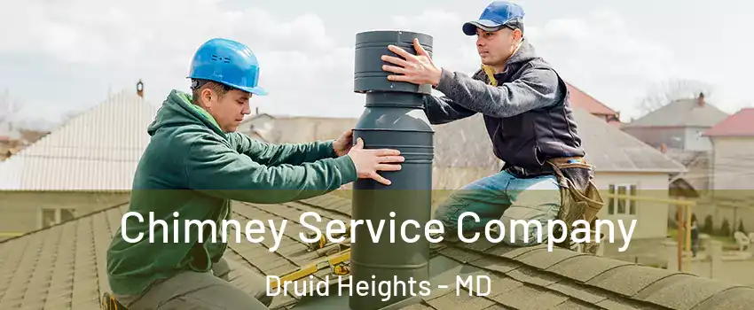 Chimney Service Company Druid Heights - MD