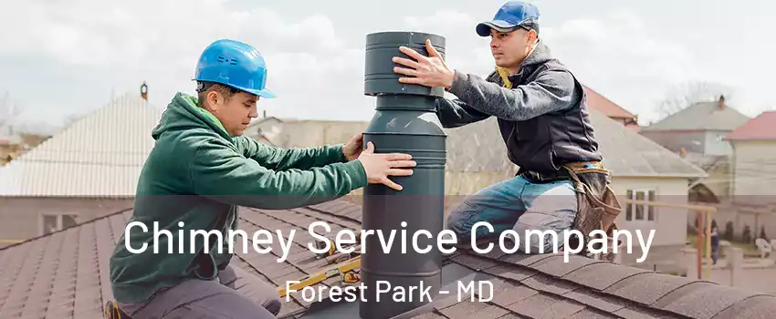 Chimney Service Company Forest Park - MD