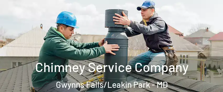 Chimney Service Company Gwynns Falls/Leakin Park - MD