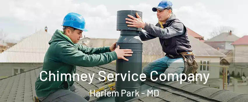 Chimney Service Company Harlem Park - MD