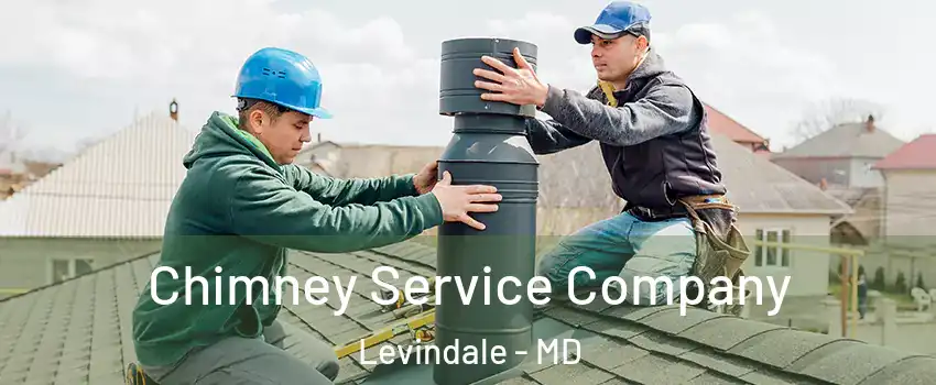 Chimney Service Company Levindale - MD