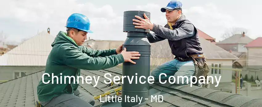 Chimney Service Company Little Italy - MD