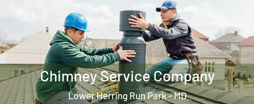 Chimney Service Company Lower Herring Run Park - MD