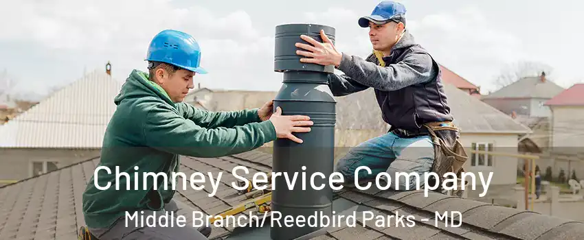 Chimney Service Company Middle Branch/Reedbird Parks - MD