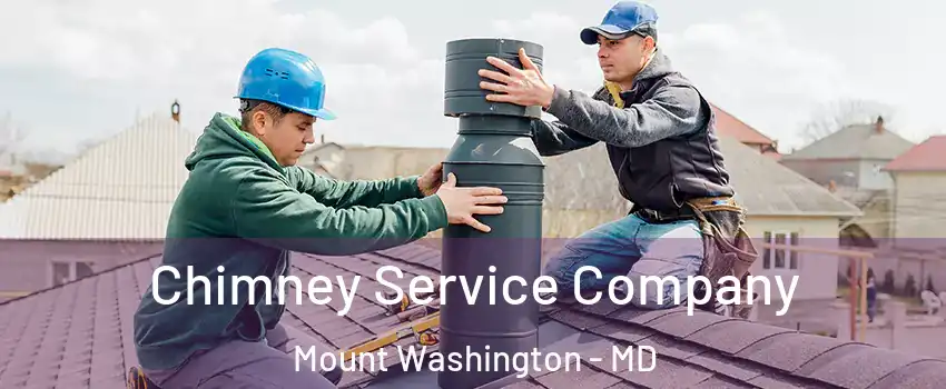 Chimney Service Company Mount Washington - MD