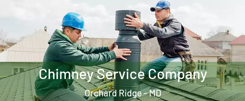 Chimney Service Company Orchard Ridge - MD