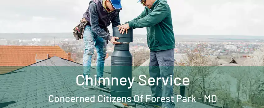 Chimney Service Concerned Citizens Of Forest Park - MD