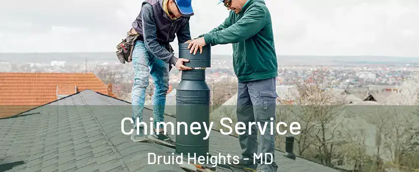 Chimney Service Druid Heights - MD