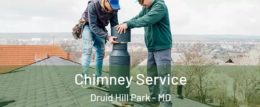 Chimney Service Druid Hill Park - MD