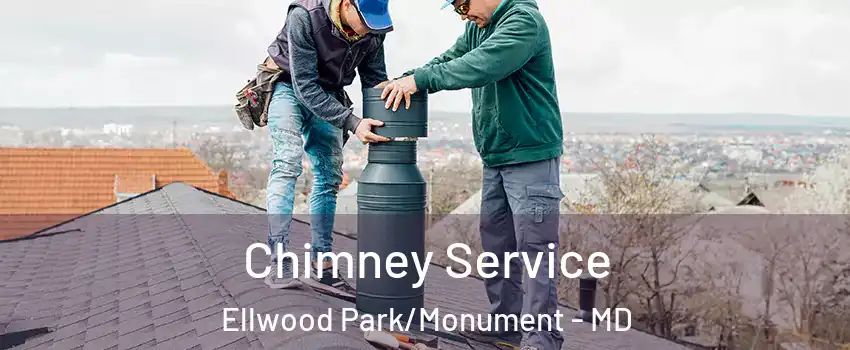 Chimney Service Ellwood Park/Monument - MD
