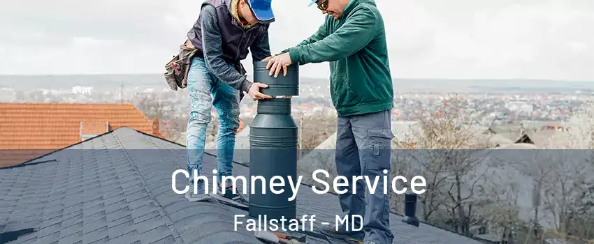 Chimney Service Fallstaff - MD