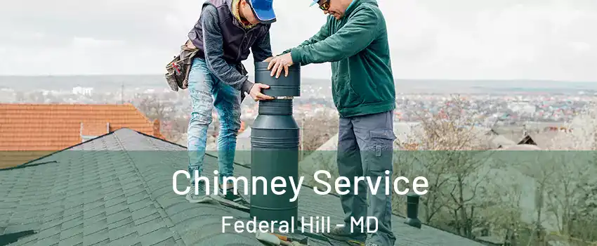 Chimney Service Federal Hill - MD