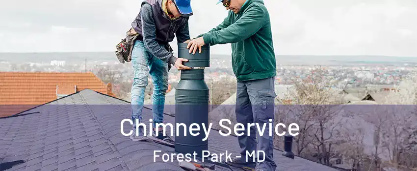 Chimney Service Forest Park - MD