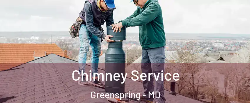 Chimney Service Greenspring - MD
