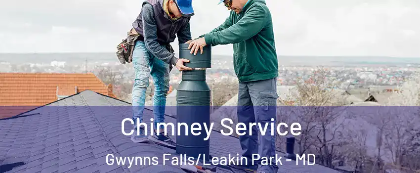 Chimney Service Gwynns Falls/Leakin Park - MD