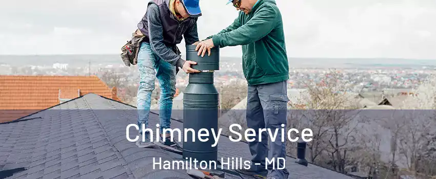 Chimney Service Hamilton Hills - MD