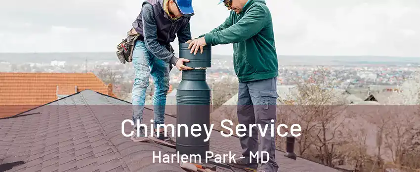 Chimney Service Harlem Park - MD