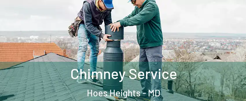 Chimney Service Hoes Heights - MD