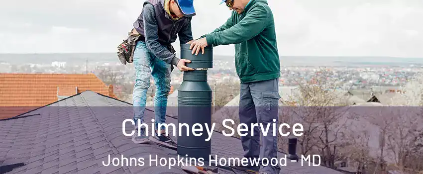 Chimney Service Johns Hopkins Homewood - MD
