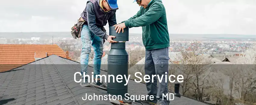 Chimney Service Johnston Square - MD