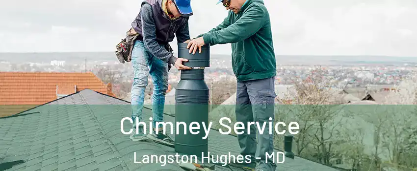 Chimney Service Langston Hughes - MD