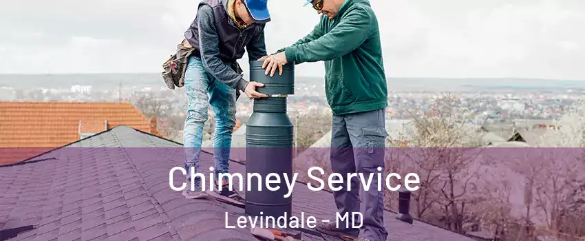 Chimney Service Levindale - MD