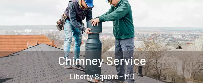 Chimney Service Liberty Square - MD