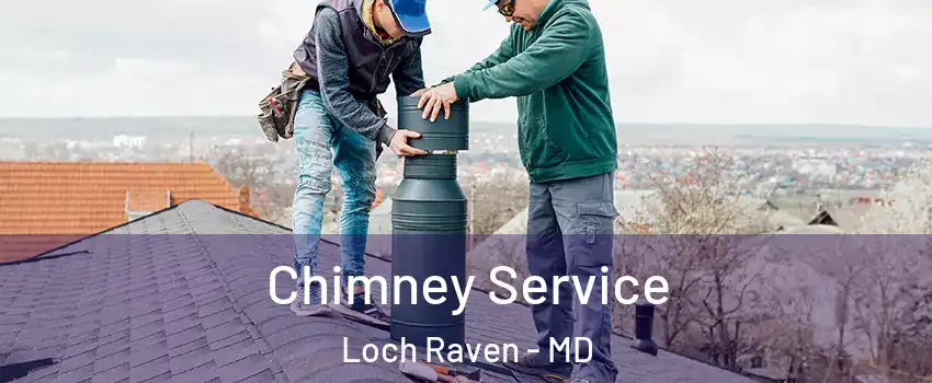 Chimney Service Loch Raven - MD