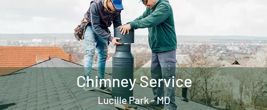 Chimney Service Lucille Park - MD