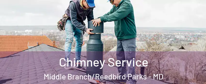 Chimney Service Middle Branch/Reedbird Parks - MD