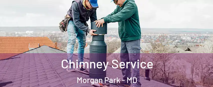Chimney Service Morgan Park - MD