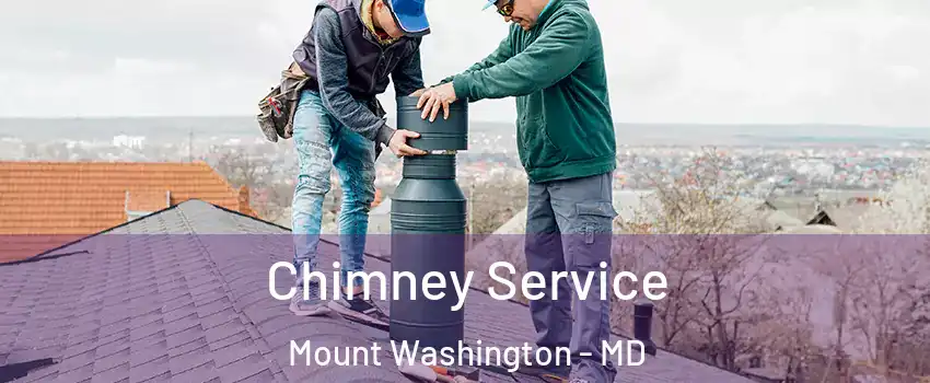 Chimney Service Mount Washington - MD
