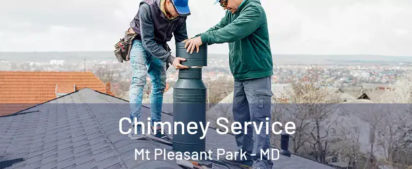 Chimney Service Mt Pleasant Park - MD