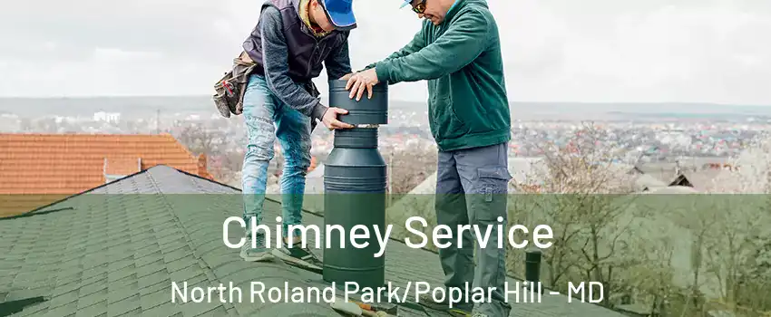 Chimney Service North Roland Park/Poplar Hill - MD