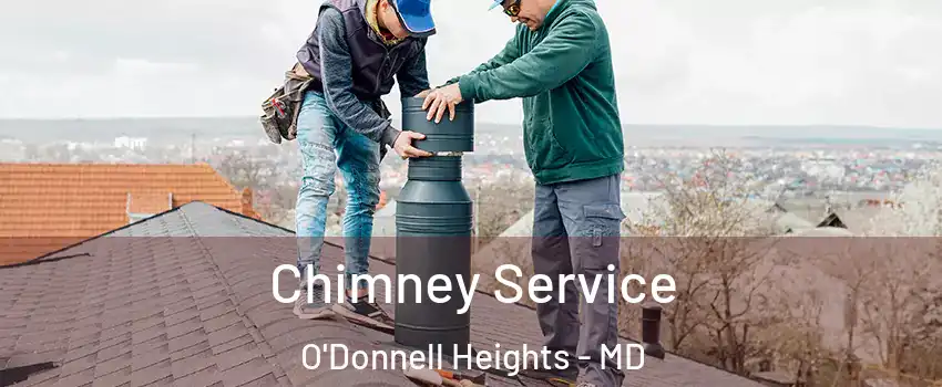 Chimney Service O'Donnell Heights - MD