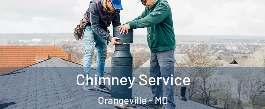 Chimney Service Orangeville - MD