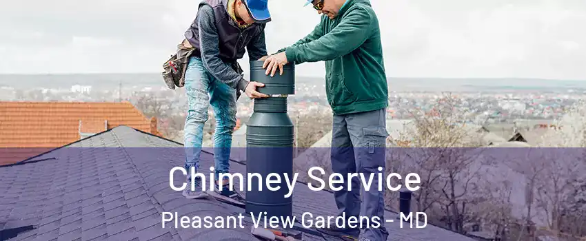 Chimney Service Pleasant View Gardens - MD