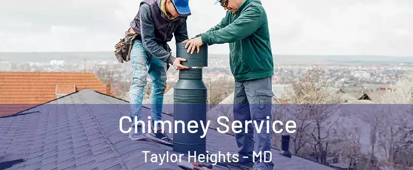 Chimney Service Taylor Heights - MD