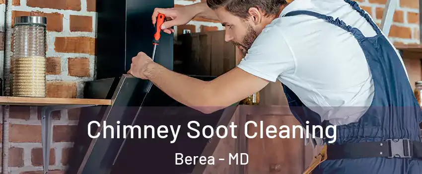 Chimney Soot Cleaning Berea - MD