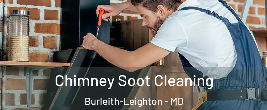 Chimney Soot Cleaning Burleith-Leighton - MD