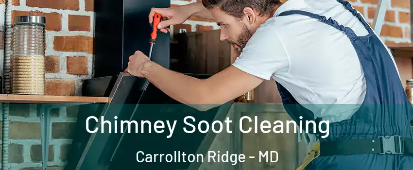 Chimney Soot Cleaning Carrollton Ridge - MD