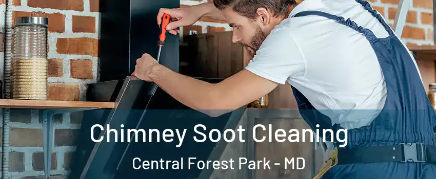 Chimney Soot Cleaning Central Forest Park - MD