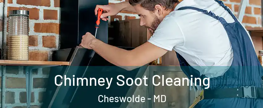 Chimney Soot Cleaning Cheswolde - MD