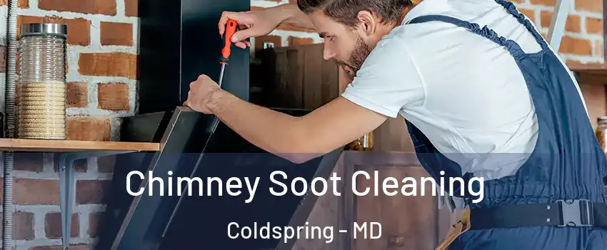 Chimney Soot Cleaning Coldspring - MD