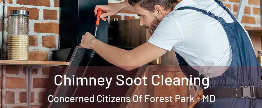 Chimney Soot Cleaning Concerned Citizens Of Forest Park - MD