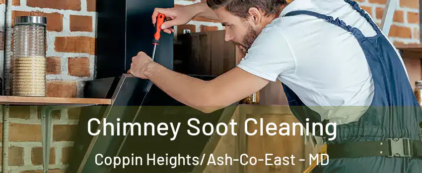 Chimney Soot Cleaning Coppin Heights/Ash-Co-East - MD