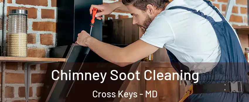 Chimney Soot Cleaning Cross Keys - MD